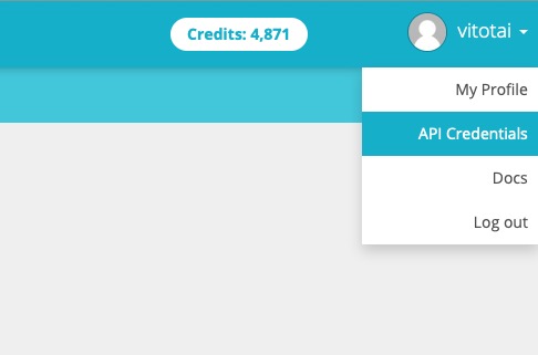 Access Token